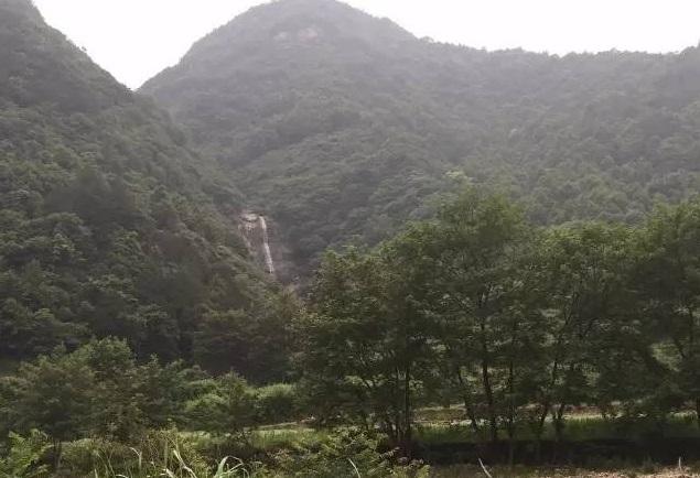 微信1.jpg 微信1.jpg