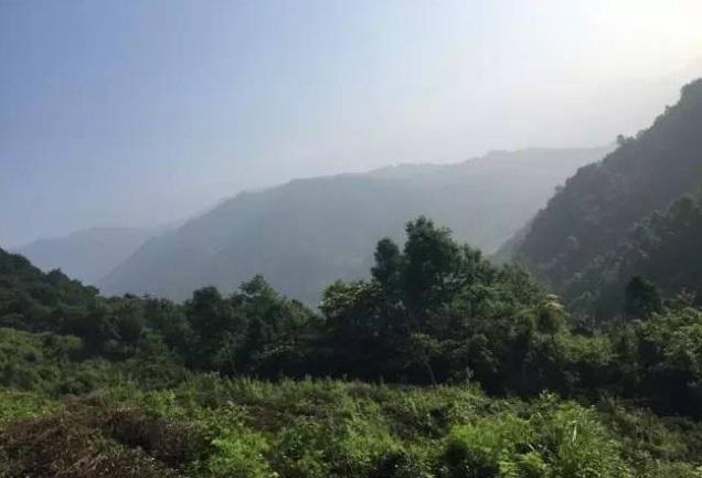 微信2.jpg 微信2.jpg