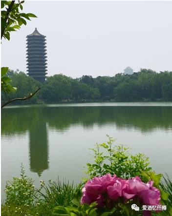 image005.jpg image005.jpg