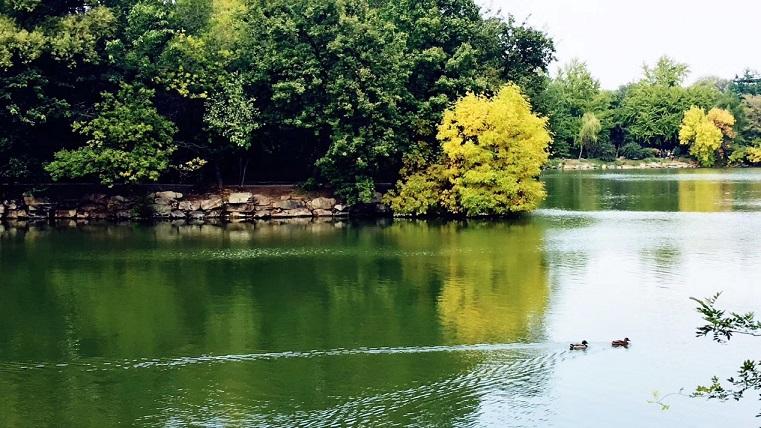 image0022.jpg image0022.jpg