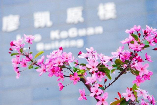 image0033.jpg image0033.jpg